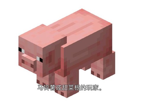 我的世界猪怎么繁殖[图2]