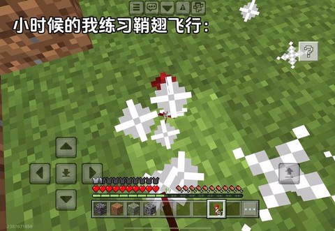 我的世界翅膀有什么用[图2]