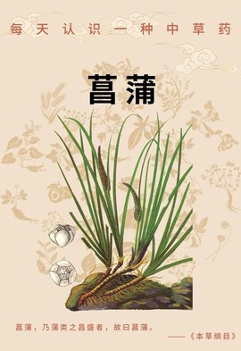 天龙八部菖蒲怎么得[图2]