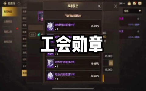 dnf什么徽章最好[图2]