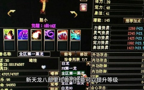 天龙八部珍兽怎么洗练[图1]