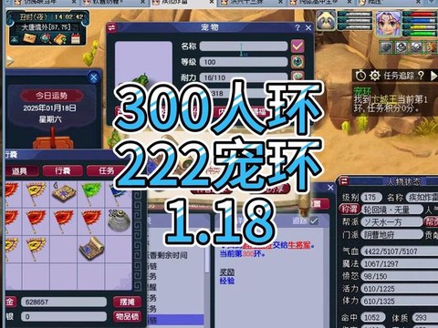 梦幻西游环什么意思[图1]