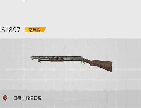 绝地求生喷子是什么枪[图1]