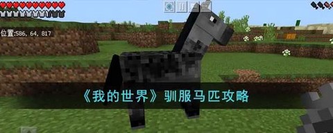 我的世界手机版马怎么驯服[图1]