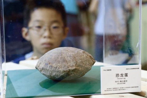 迷你世界怎么得恐龙蛋[图2]