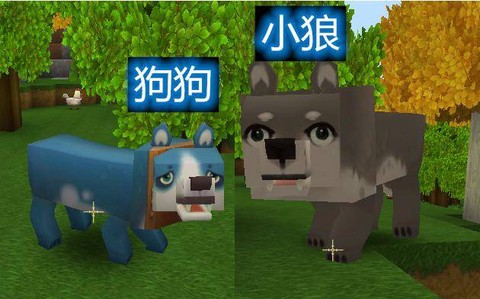 迷你世界怎么养小狗[图2]