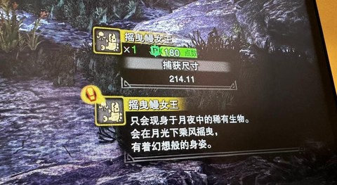 怪物猎人怪物如何捕捉[图2]