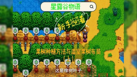 星露谷物语种什么果树[图1]
