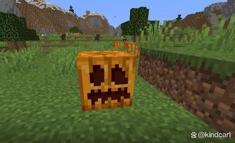 我的世界南瓜头有什么用[图1]