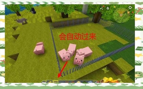 迷你世界中猪怎么繁殖[图1]
