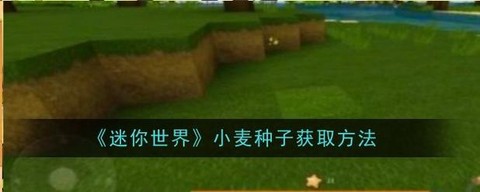 迷你世界如何刷小麦[图1]